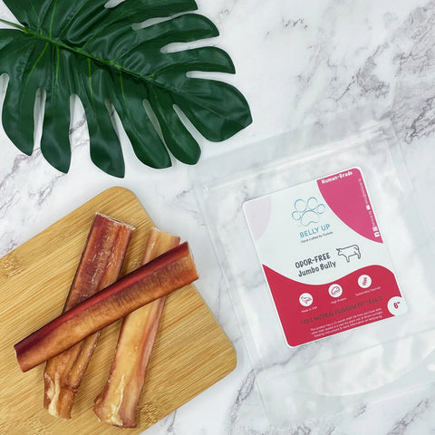 Belly Up 100% Natural Beef Bully Stick | Odour-Free