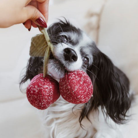 Lambwolf Collective Cherry Pops