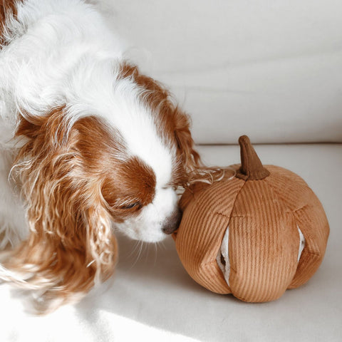 Lambwolf Collective Cinderella Pumpkin
