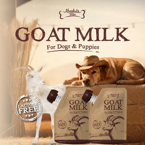 Absolute Bites® Lactose-Free Goat Milk | Dogs & Puppies (150ml)