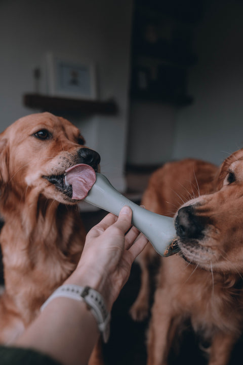 Beco Treat Bone