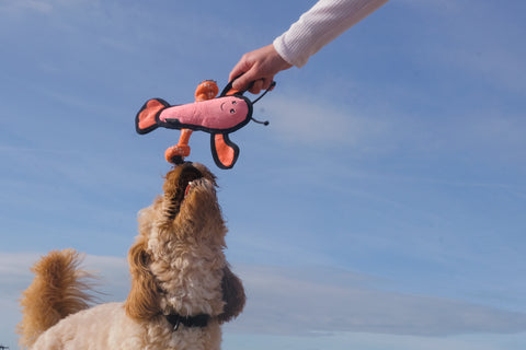 Beco Plush Dog Toy | Lobster