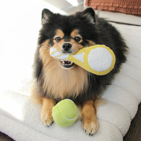 Lambwolf Collective Tennis Pop