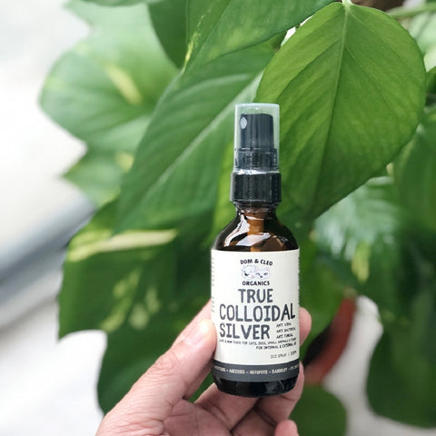 Dom & Cleo Organics True Colloidal Silver | Spray/Dropper
