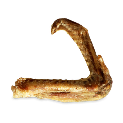 Absolute Bites® Single Ingredient Freeze Dried Treats | Duck Wings (40g)