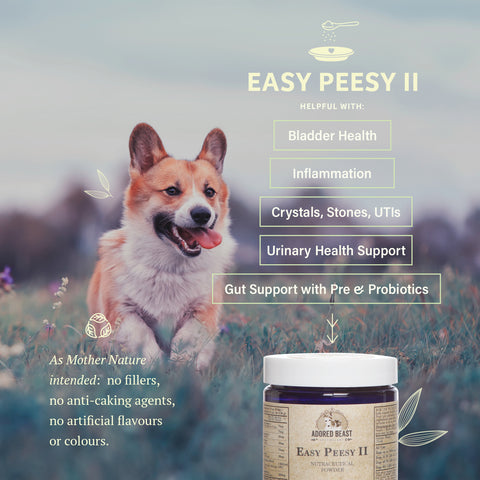 Adored Beast Apothecary Easy Peesy Protocol | 2 Product Kit