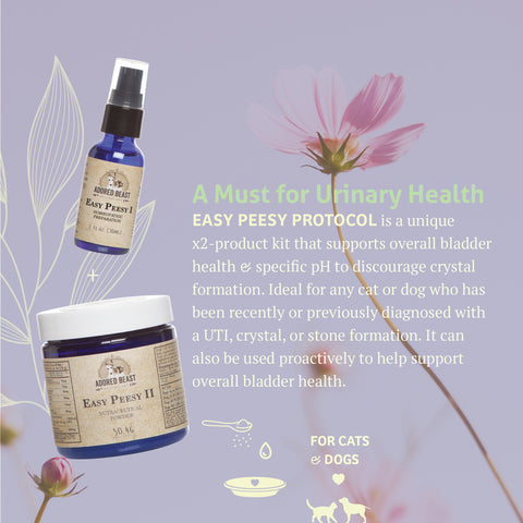 Adored Beast Apothecary Easy Peesy Protocol | 2 Product Kit