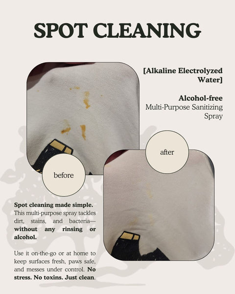 G-Natural Sanitizing Spray | Chemical Free