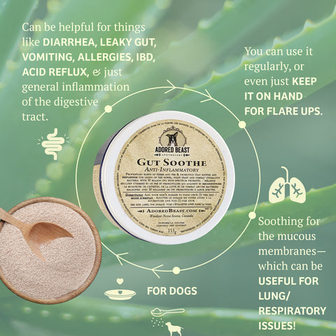 Adored Beast Apothecary Gut Soothe | Anti-Inflammatory