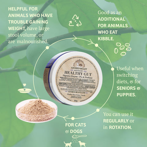 Adored Beast Apothecary Healthy Gut | Digestive Enzymes / Pre & Probiotic