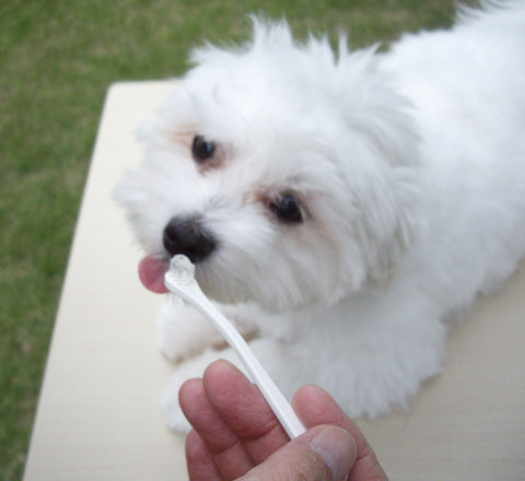 Mind Up KENKO CARE Toothbrushing Liquid For Dogs