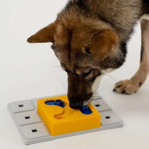 Pawzler Puzzle Piece | Kaya