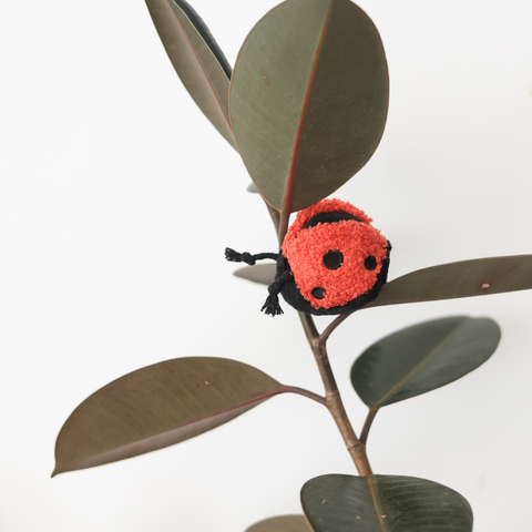 Lambwolf Collective Ladybug Pop