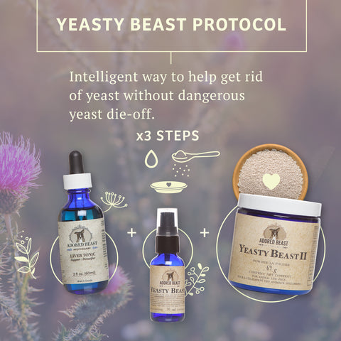 Adored Beast Apothecary Yeasty Beast Protocol | 3 Product Kit