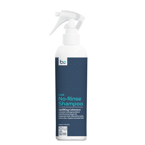 Beyond Clean Luxe No-Rinse Shampoo