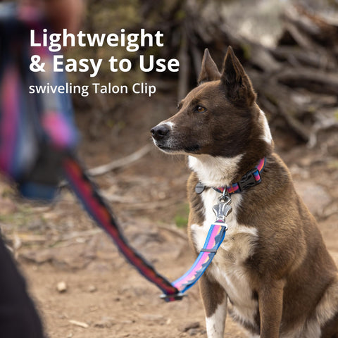 Ruffwear Crag™ Leash