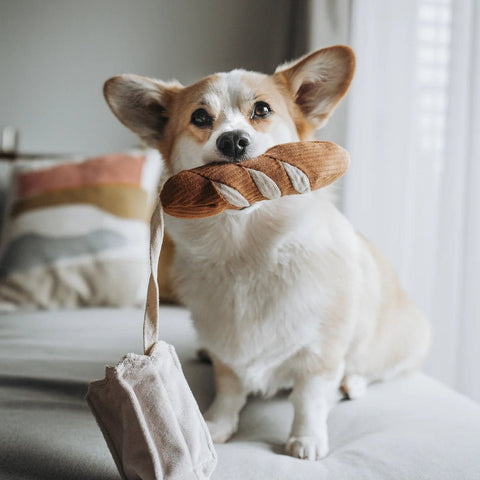 Lambwolf Collective Baguette