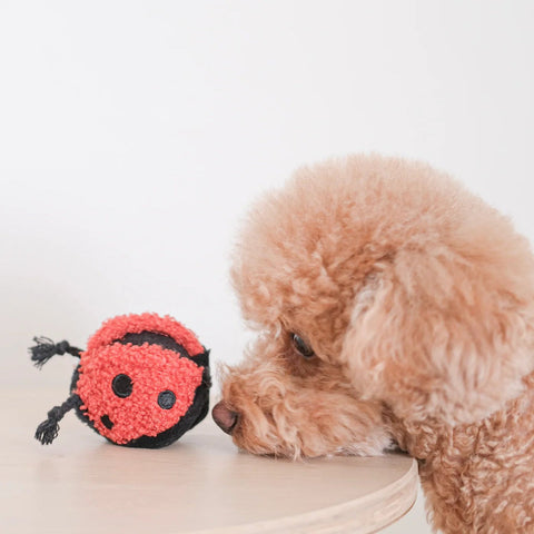 Lambwolf Collective Ladybug Pop