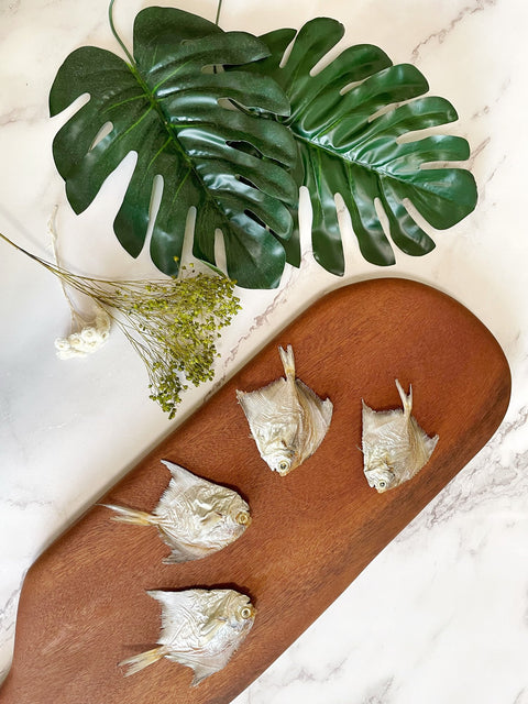 Belly Up Eco 100% Natural Eco-Safe Mini Pomfret | Seasonal