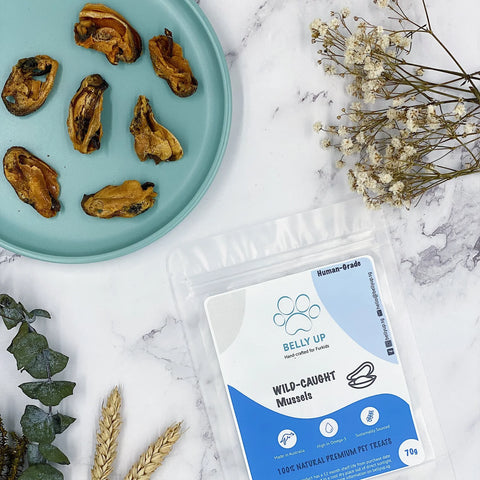 Belly Up 100% Natural Australian Wild-Caught Mussels