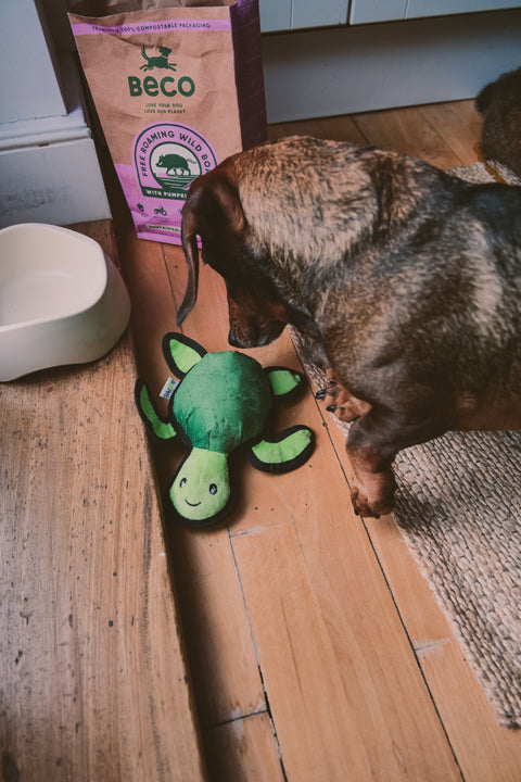 Beco Plush Dog Toy | Turtle