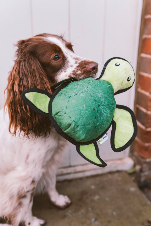 Beco Plush Dog Toy | Turtle