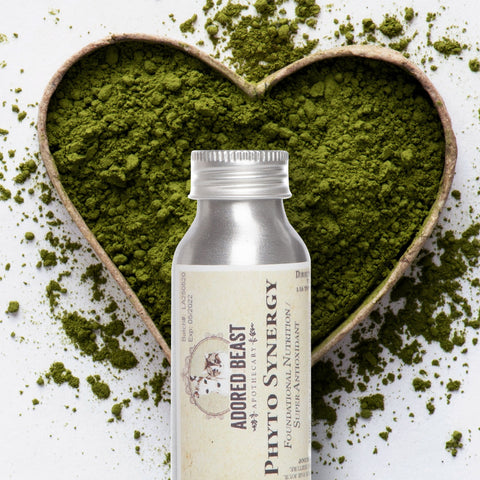 Adored Beast Apothecary Phyto Synergy | Super Antioxidant