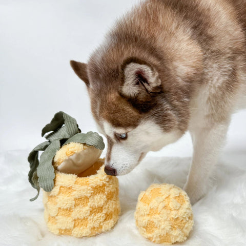 Lambwolf Collective Pineapple Pop