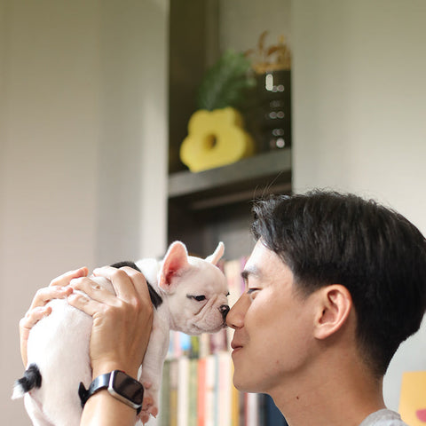 Petcubes Gently Cooked Food For Dogs | Puppy