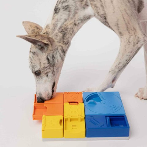 Pawzler Modular Dog Puzzle System | Rainbow Set
