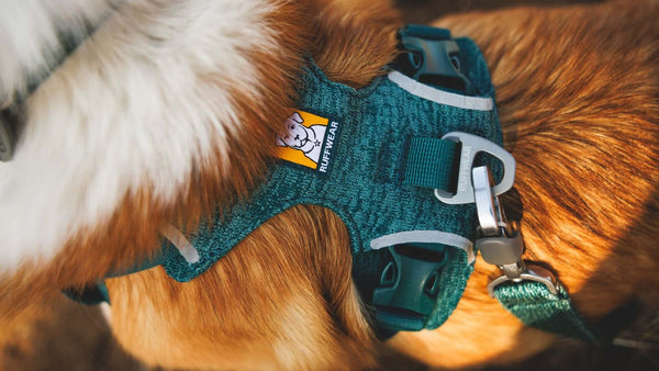 Ruffwear