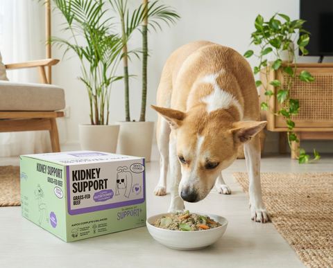The Grateful Pet Gently Cooked Food Support+ | Kidney Support