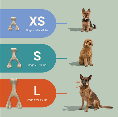 Sizing Guide