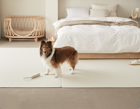 Barky Premium Pet Anti Slip Mat | Beige