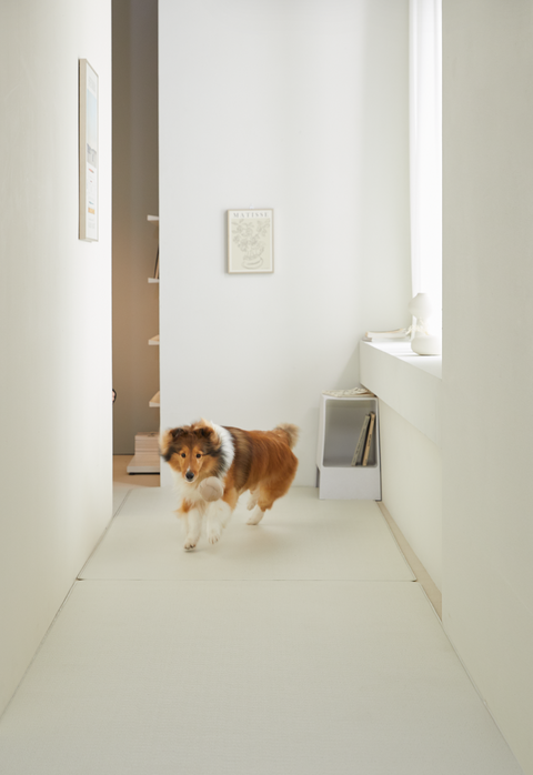 Barky Premium Pet Anti Slip Mat | Beige