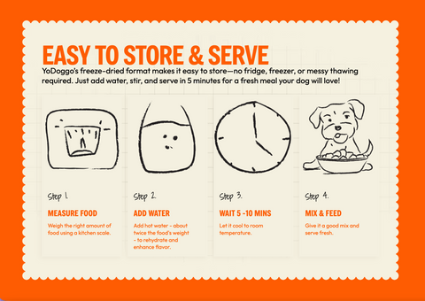 How To Serve