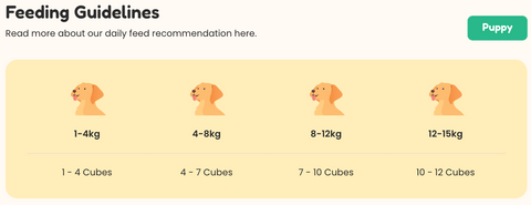 Feeding Guide