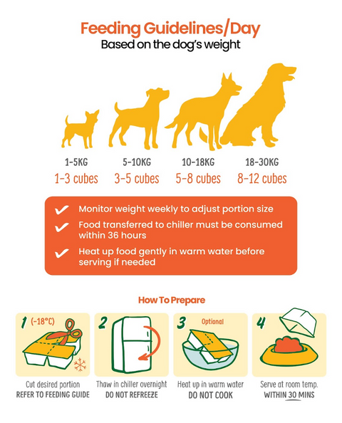 Feeding Guide