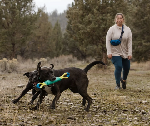 Ruffwear Pacific Loop™ Toy | Tug & Fetch