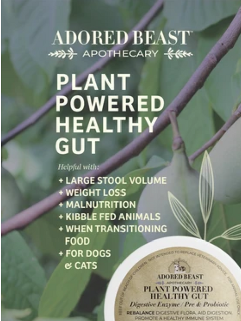 Adored Beast Apothecary Healthy Gut | Digestive Enzymes / Pre & Probiotic