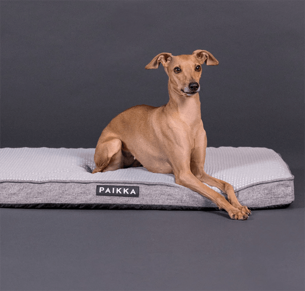 PAIKKA