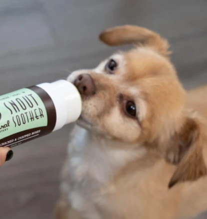 Natural Dog Company