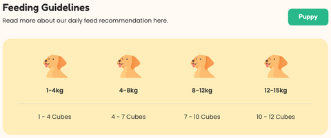 Feeding Guide