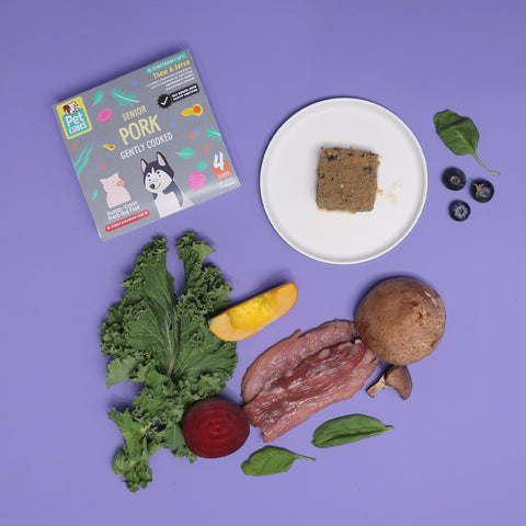 Petcubes Gently Cooked For Senior Dog | Quiz