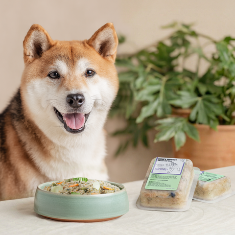 The Grateful Pet Gently Cooked Food Support+ | Kidney Support