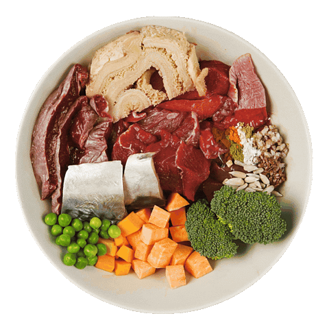 YoDoggo Gently Cooked, Freeze Dried Fresh | Beef & Mackerel
