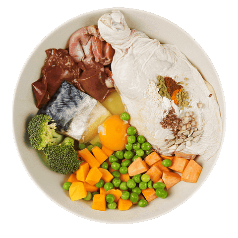 YoDoggo Gently Cooked, Freeze Dried Fresh | Chicken & Mackerel