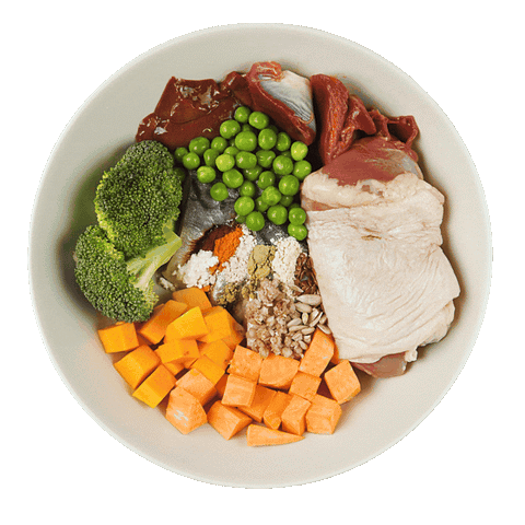 YoDoggo Gently Cooked, Freeze Dried Fresh | Duck & Mackerel