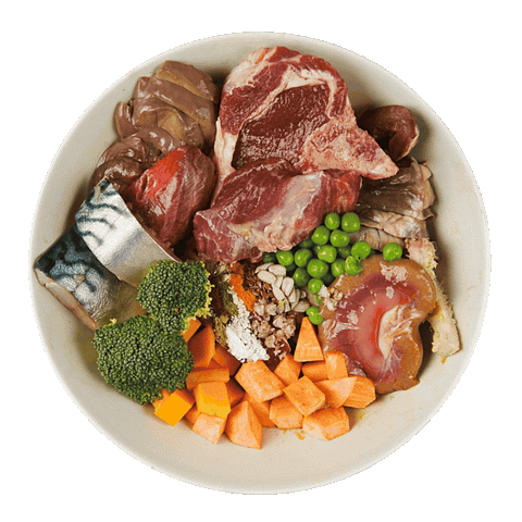 YoDoggo Gently Cooked, Freeze Dried Fresh | Lamb & Mackerel