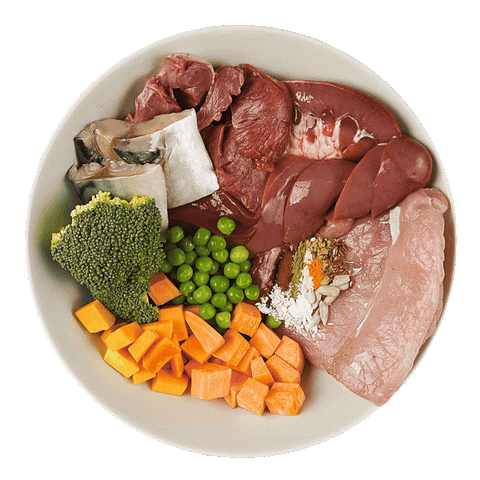 YoDoggo Gently Cooked, Freeze Dried Fresh | Pork & Mackerel